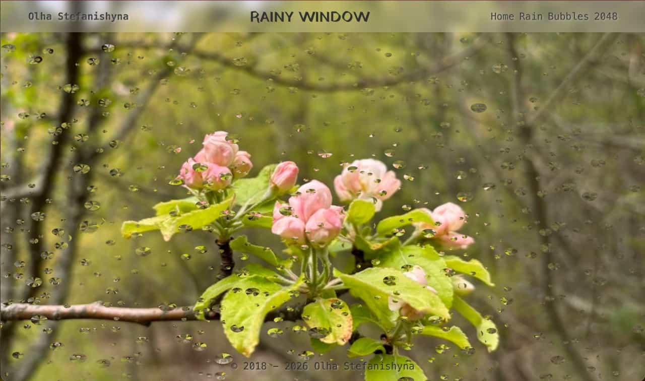 Rainy Window with WebGPU